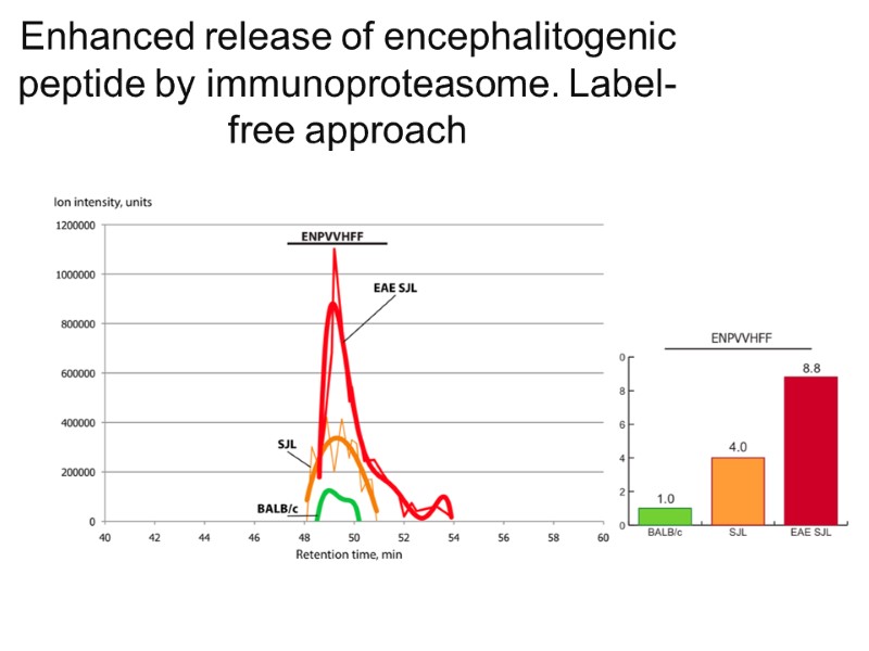 Enhanced release of encephalitogenic peptide by immunoproteasome. Label-free approach